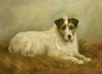 Terrieri
