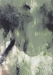 Fluid Green -tiivistelmä