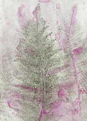 Vaaleanpunaisia saniaiskuvia