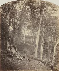 Polku metsän läpi, c. 1860.