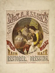 Rouva S. A. Allenin maailman hiusten palauttaja, hiustenhoito, 1865 (litografia)