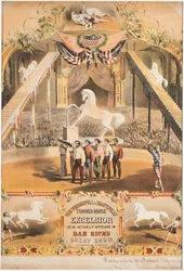 Ihana ja kauniisti koulutettu hevonen Excelsior, n. 1840 (chromolitho)