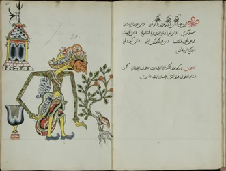 Kurkuma Java, MS 41 s. 40, nykyään 20, 1830