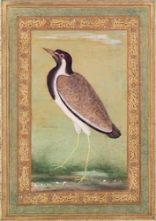 Intianhyyppä, noin 1800