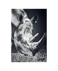 Tehokas Rhino-laiduntaminen