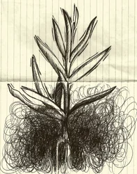 Kasvi, 2014 (muste paperille)