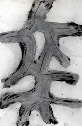 Ramas, 2014 (muste paperille)