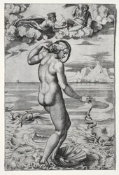 Venuksen syntymä, n. 1516.