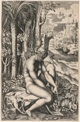 Ruusunpiippujen haavoittama Venus, n. 1516.