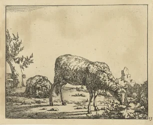 Ovelles pasturant i ovelles ajagudes a la tanca Ovella (títol de la sèrie) acabat