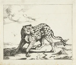Leopardi seisoo vasemmalla, pää oikealle Leopardit (sarjan nimi)