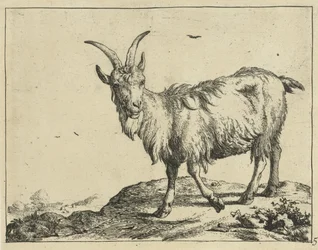 Seisova vuohi edestä Goats and Bucks (sarjan nimi)