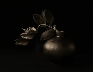 Moody-siemenpalkoja