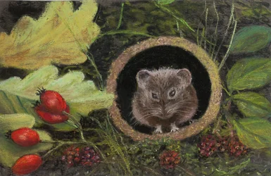 Kenttähiiri viemäriputkessa, 2020 (pastelli)