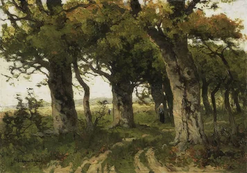 Tammikuja loppukesällä. 1880-1900