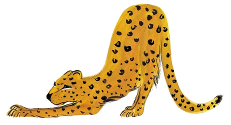 Big Cat Stretch, 2020 (vesiväri paperille)