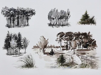 Metsäpuiden tutkielmia
