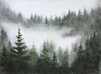 Sumuisen metsän seesteisyys