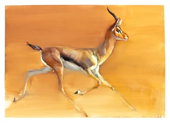 Arabian Gazelle, 2010 (öljy paperille)