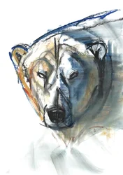 Arctic Icon, 2015, (konté ja pastelli paperilla)