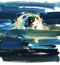 Arctic Swim, 2016, (akvarelli paperille)