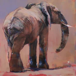 Takana, Loisaba, 2018