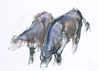 Vasikat, 2006 (hiili ja conte paperilla)