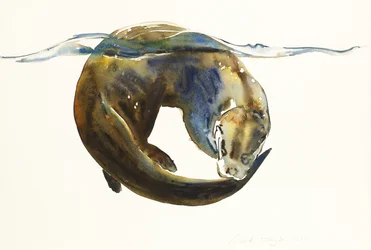Elämän ympyrä, 2014, (akvarelli paperille)