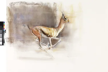 Desert Wind (Arabian gaselli), 2010 (öljy paperille)