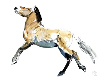 Ilmainen (Przewalski), 2012, (sekoitettu media paperille)