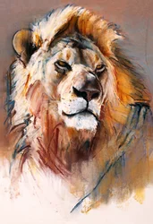 Gemsbok Lion, 2020