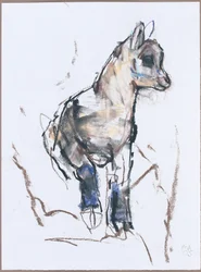 Ibex Kid (hiili ja conte paperilla)