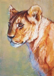 Lookout, 2019