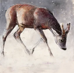 Roe Buck, talvi, 2000 (sekoitetut materiaalit paperille)