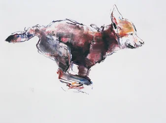 Juokseva sudenpentu (hiili ja conte paperilla)