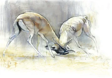 Sand Gazelles, 2009 (conte & charcoal paperilla)