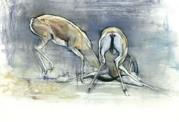 Sand Gazelles, 2009 (conte ja hiili paperille)