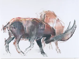 Scimitar, 2006 (hiili ja conte paperille)