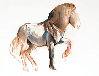 Sorvaus (Przewalski), 2013, (pastelli ja hiili paperille)