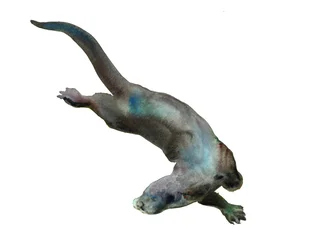 Tuntematon nimi