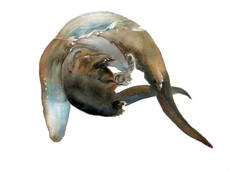 Tuntematon nimi