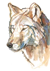 Susi, 2018