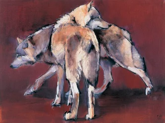 Wolfin sävellys, 2001