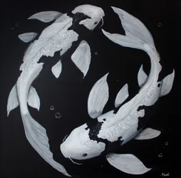 Yin Yang -koi-kala