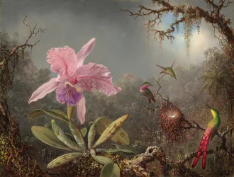 Cattleya-orkidea ja kolme hummingbirdiä