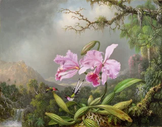 Orkideatutkielma, 1872