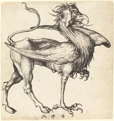 Griffin