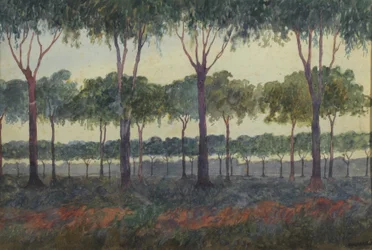 Puiden metsä