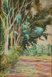 Maisema