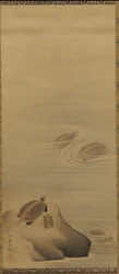 Kilpikonnat, Edo-kausi, 1700-luku.